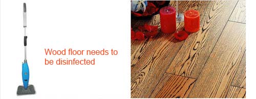 Multifunctional handheld H2O Multi Purpose Eco-friendly electric Steam Mop